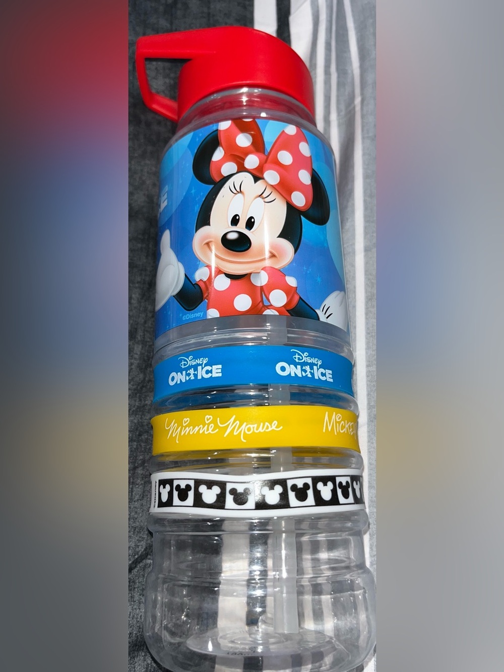 Disney On Ice Water Bottle